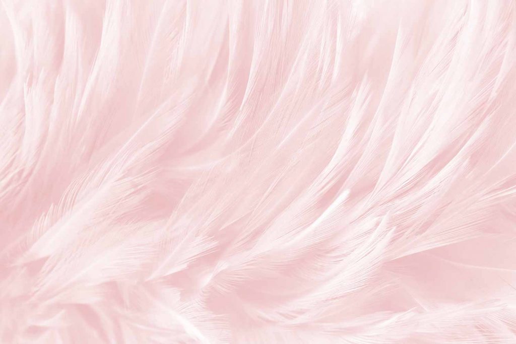 Soft