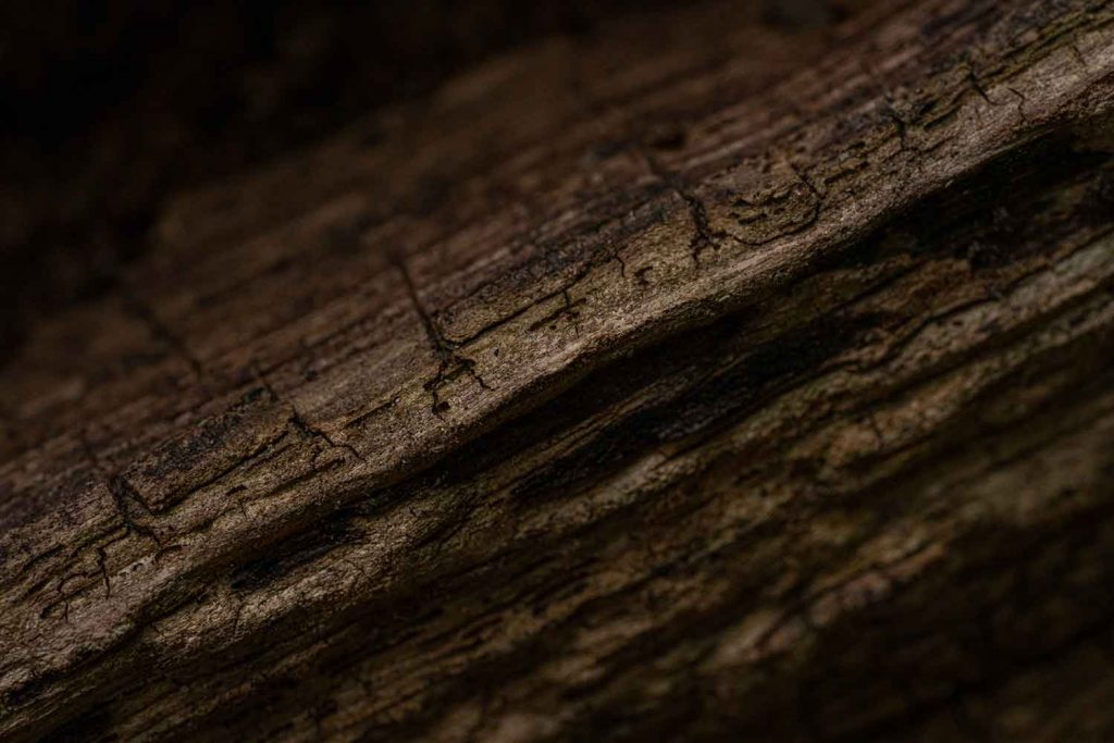 Wood