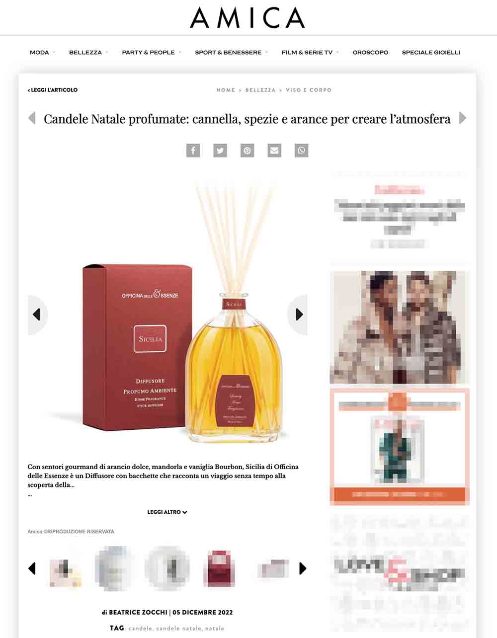 Amica-07122022-crop