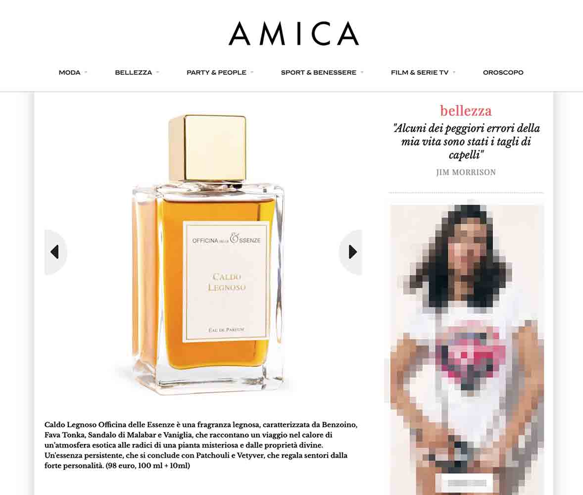 Amica-28112022-crop
